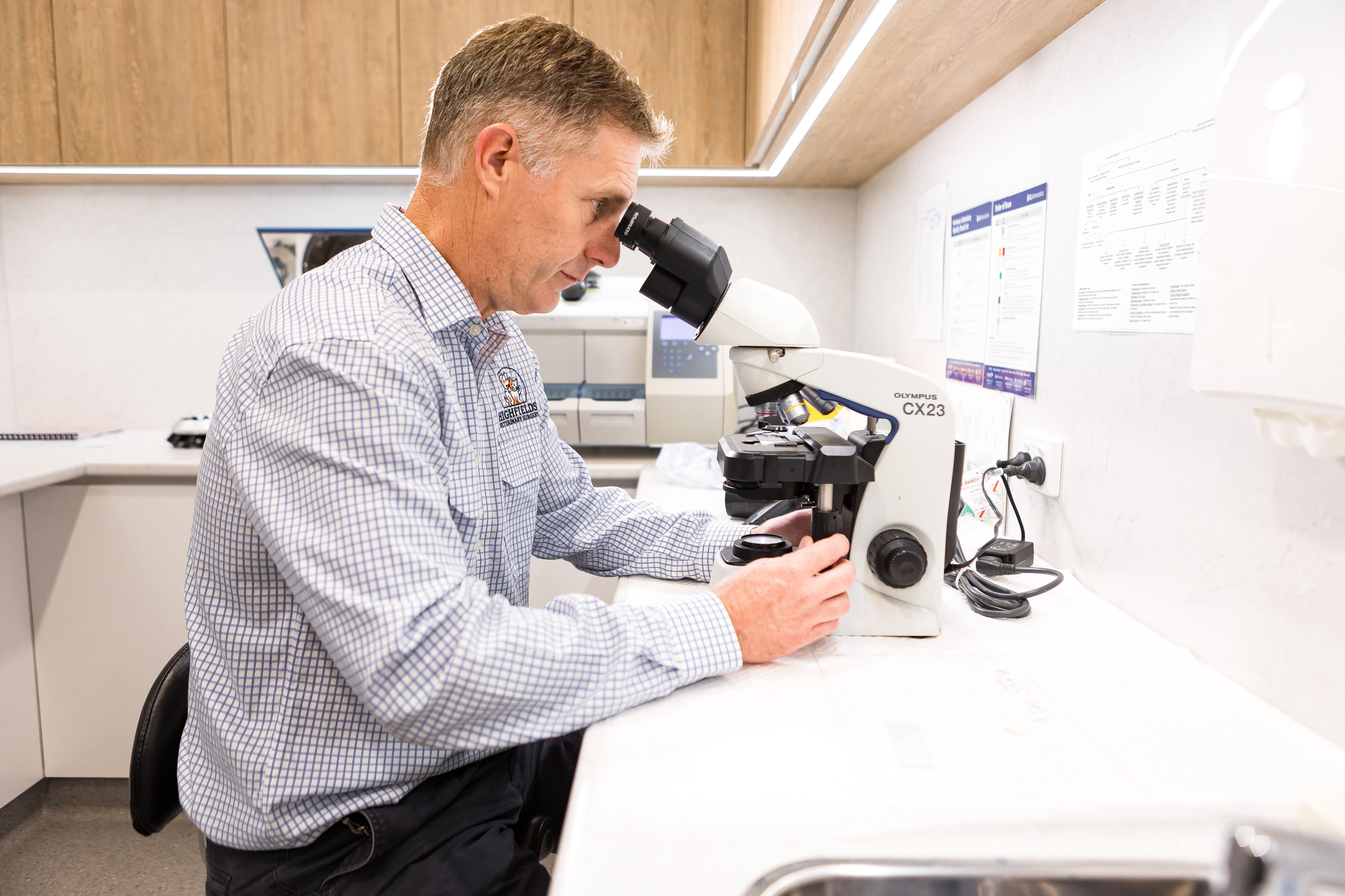 Highfields Vet Surgery reproductive testing